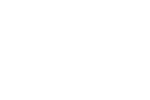 Doisy and Dam logo
